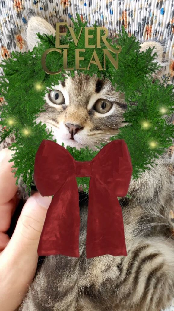 [에버크린]냥리스 꾸미기