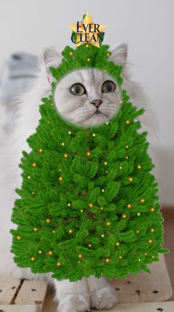 [에버크린]냥트리 꾸미기